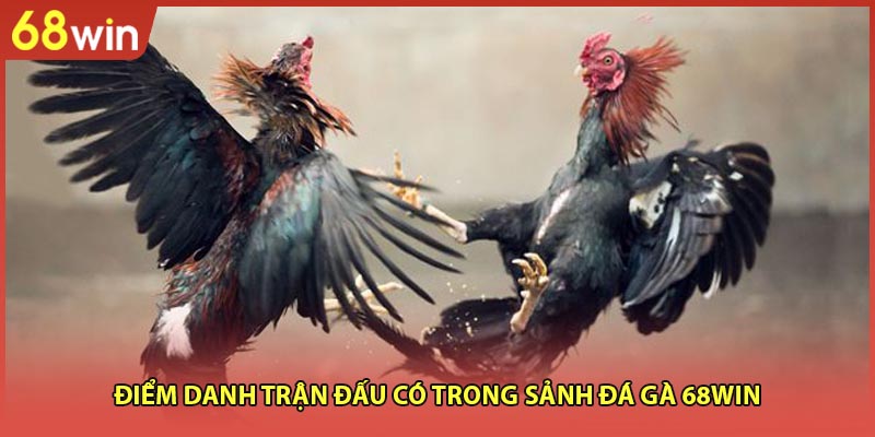 Đá Gà 68WIN - Dự Đoán Chuẩn, Rinh Thưởng Cao Tại 68WIN - WINZEN96